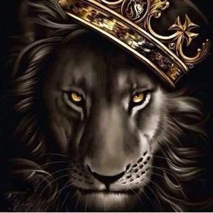 Meet your Posher, Jesse